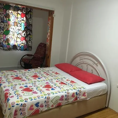 Apartment Nisa